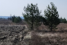 На Київщині НБУ виставив земельні ділянки на повторні торги