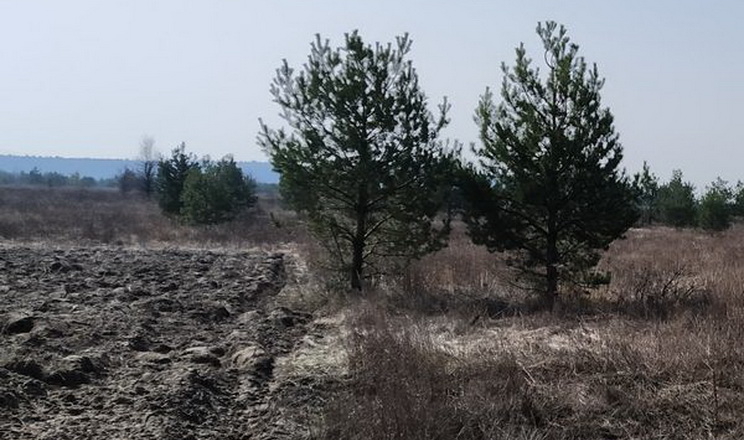 На Київщині НБУ виставив земельні ділянки на повторні торги