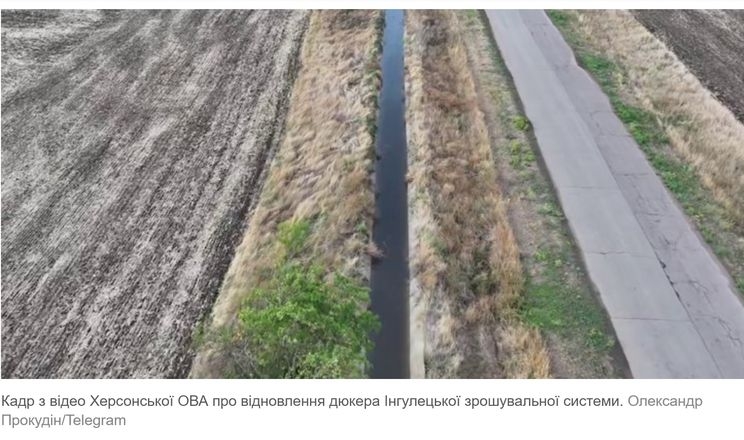 Херсонські овочівники виживають завдяки зрошенню з Інгульця