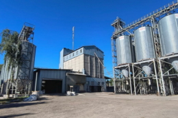 На Київщині сучасний комбікормовий завод продають або здадуть в оренду