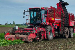 Філія «Рідний край» МХП отримала 11,6 тонни цукру з гектара