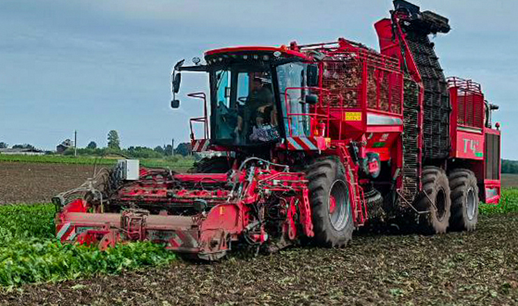 Філія «Рідний край» МХП отримала 11,6 тонни цукру з гектара