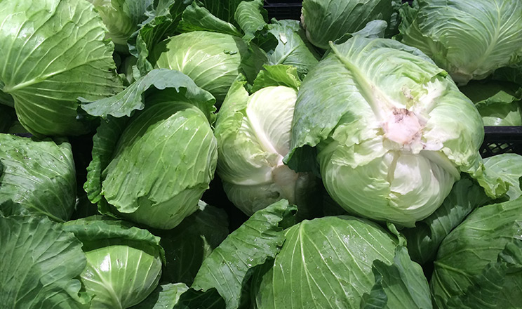 Ціни на капусту можуть зрости взимку через дефіцит якісної продукції