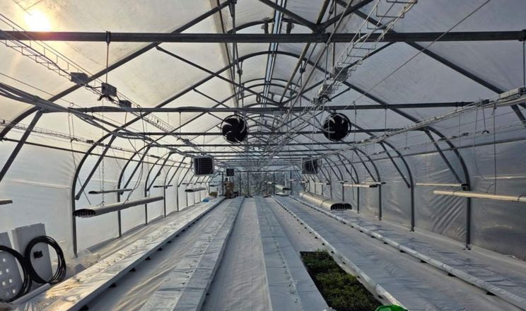 На Київщині відкрили овочево-динну теплицю з японською технологією