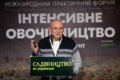 «Інтенсивне овочівництво» у Львові: селекційні прориви, борщовий набір і часниковий бізнес