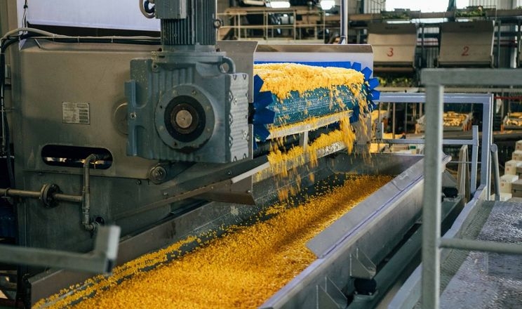 Ще 37 переробників отримають гранти на розвиток підприємств