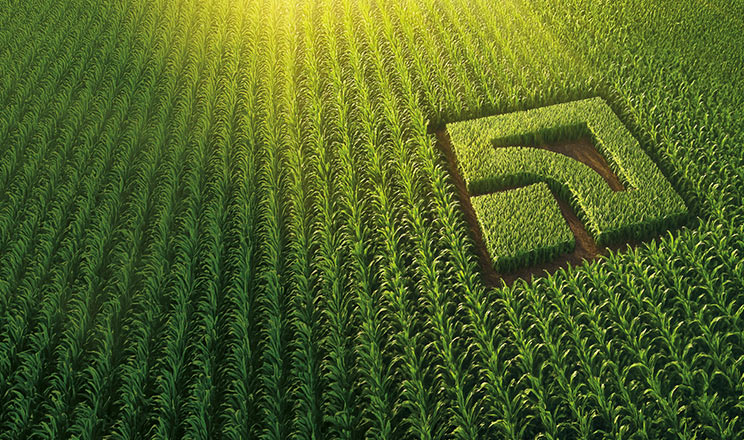 Фінансуємо агробізнес: вирощуй прибуток із ПриватБанком