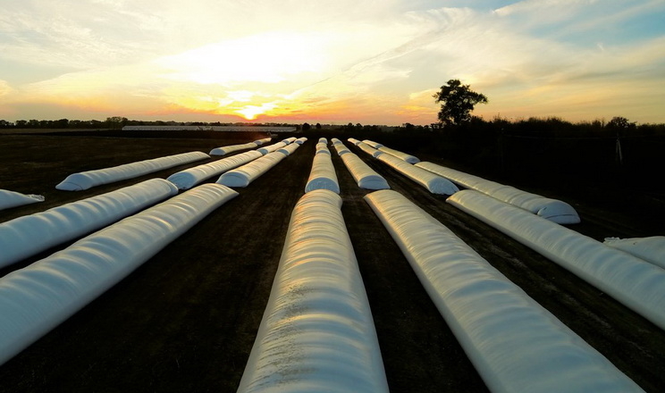 Як укладати рукави з кормами, щоб вони не перегрівалися