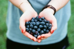 Жінок безкоштовно навчатимуть в ягідному, горіховому та інших напрямках агробізнесу