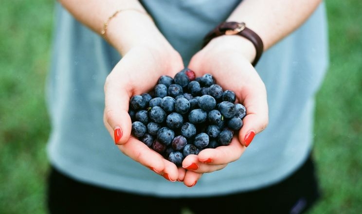 Жінок безкоштовно навчатимуть в ягідному, горіховому та інших напрямках агробізнесу