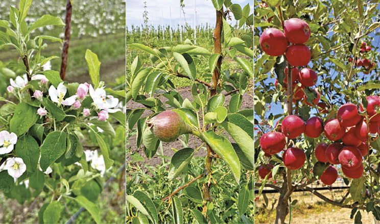 Своїми силами