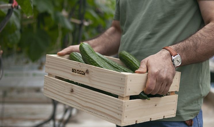 У Швеції їстівне покриття для овочів можуть використовувати замість пластику