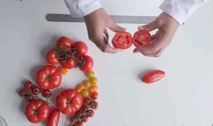 KWS створює сорти 9 овочів із кращим смаком і транспортабельністю