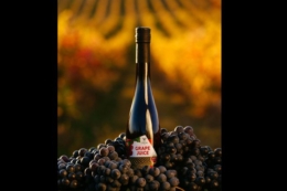 Закарпатська виноробня випустила виноградний сік 