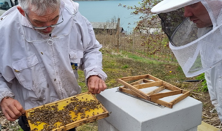 Бджільництво ще більше стає міждисциплінарною наукою