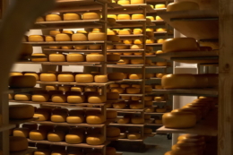 Світові ціни на молочну продукцію падають четвертий місяць поспіль