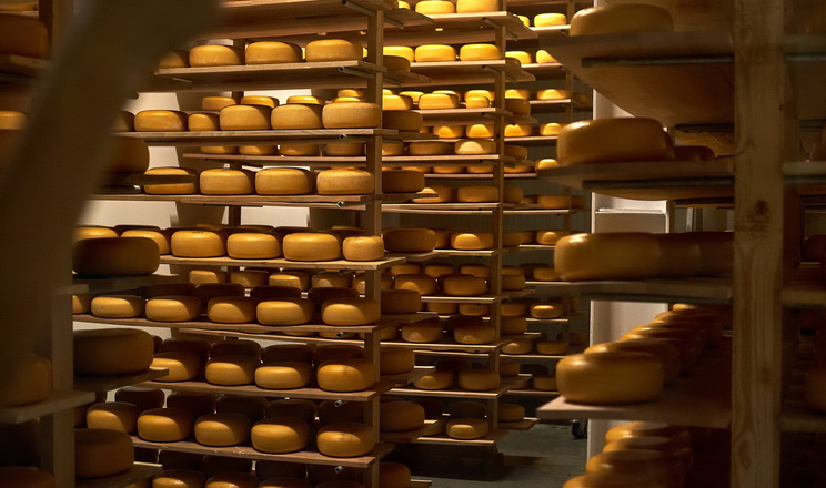 Світові ціни на молочну продукцію падають четвертий місяць поспіль