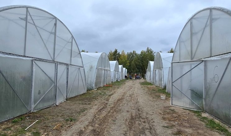 На Київщині продають 70% тепличного комплексу