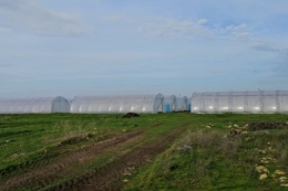 На Херсонщині встановили 40 теплиць для переселенців