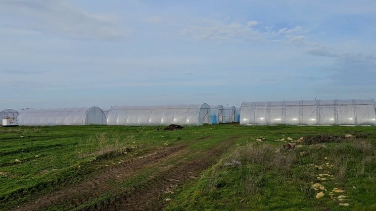 На Херсонщині встановили 40 теплиць для переселенців