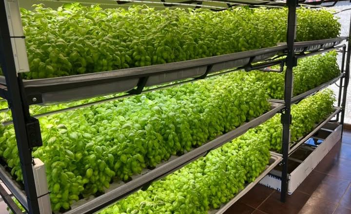 Ферма на колесах обійдеться у $50 тис.