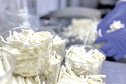 В Україні бракує фахових сироварів