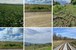 На продаж виставили земельний банк біля кордону з ЄС