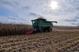 Жнива кукурудзи тривають в «АГРОТРЕЙД»: найвища врожайність на прифронтовій Сумщині