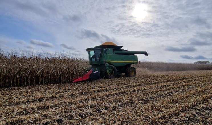 Жнива кукурудзи тривають в «АГРОТРЕЙД»: найвища врожайність на прифронтовій Сумщині