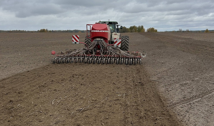 Під озимі «Агрейн» відвів близько 42% посівних площ