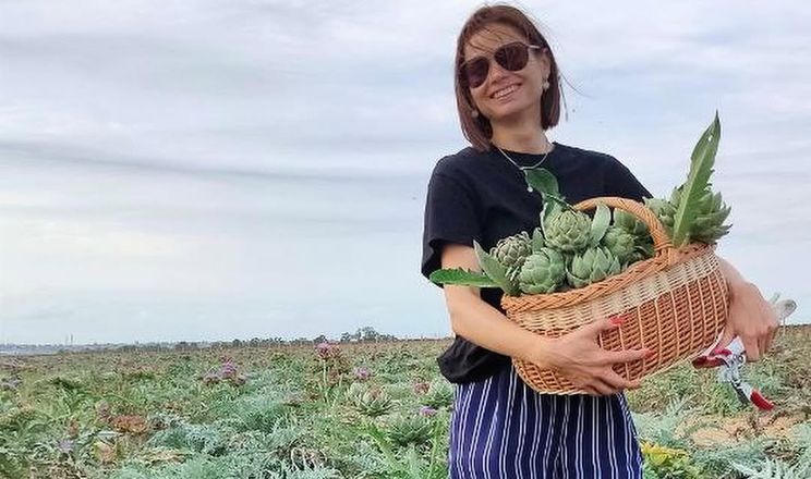 Артишок дає на Одещині два врожаї за сезон