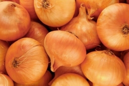 Перед Різдвом достигне цибуля, яка не змушує плакати