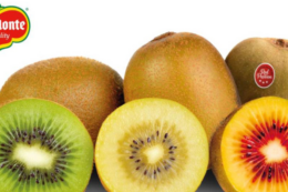 Нові сорти ківі суттєво відрізняються від класичного зеленого