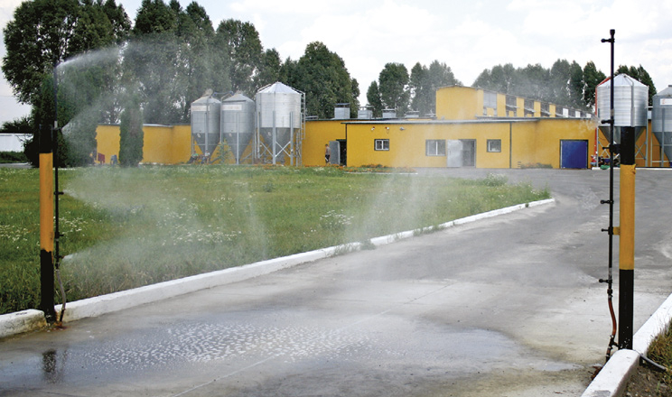 Захистити свиноферму