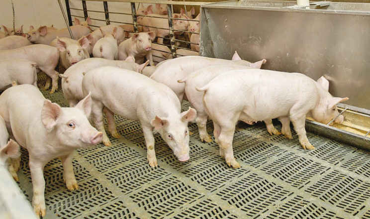 Комбінований захист