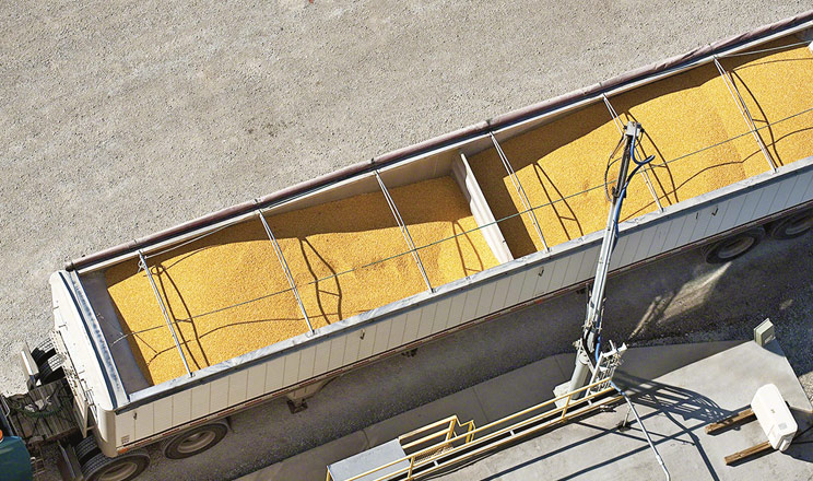 Новий сезон для української агропродукції стартував не з розгону, а з випробувань