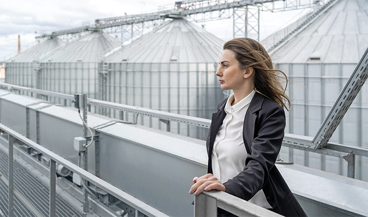 Стимул до розвитку