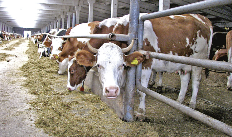 Післяотельні ризики