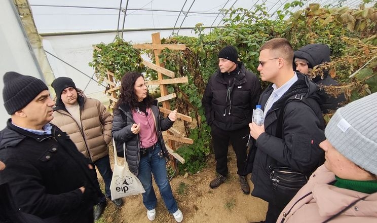 Українські ягідники вивчали досвід «малинової мекки» Сербії