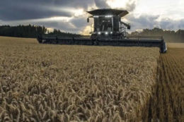 Fendt IDEAL отримав нову систему очищення для нульових втрат зерна