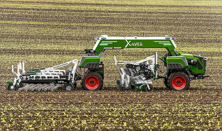Fendt презентував автономного польового робота Xaver для овочівництва