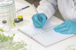 За тиждень оформлено 3296 фітосанітарних сертифікатів