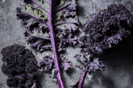 Червона листова капуста кале стає новим трендом преміумсегмента