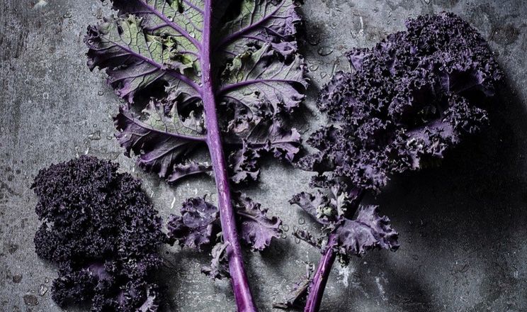 Червона листова капуста кале стає новим трендом преміумсегмента