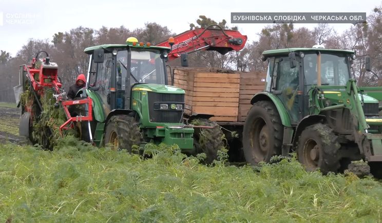 Черкаське підприємство замінило яблуневі сади на моркву