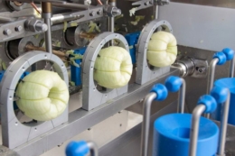 Машина для чищення яблук обробляє до 500 кг плодів за годину