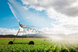 У держбюджеті-2026 заклали 0,2 млрд грн на розвиток меліоративних систем