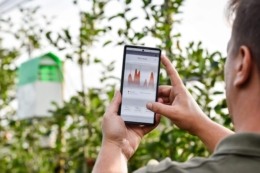 Одеські садівники контролюють вихід шкідників за допомогою комп’ютерної програми