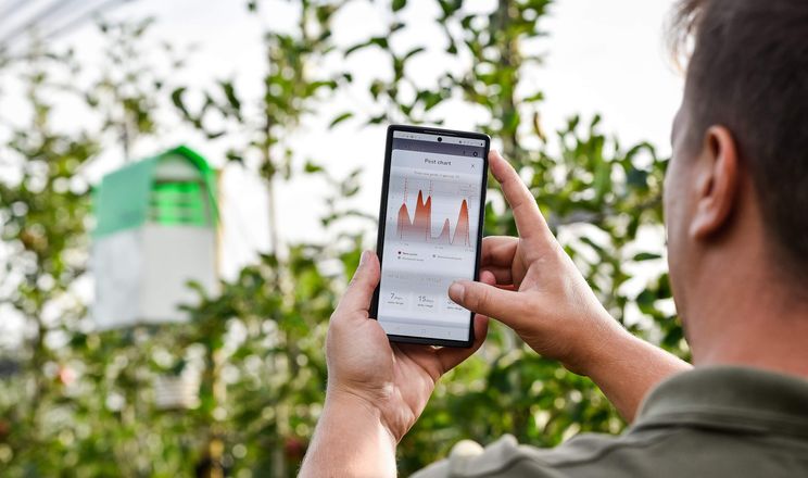 Одеські садівники контролюють вихід шкідників за допомогою комп’ютерної програми