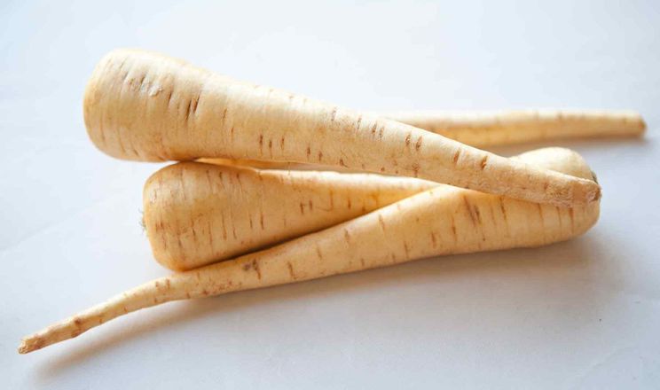 Пастернак стає золотою жилою для фермерів